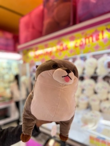 ぬいぐるみ