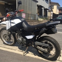 ◇ KAWASAKI アネーロ　KLE250 フルサイズ　改造車の画像