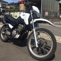 ◇ KAWASAKI アネーロ　KLE250 フルサイズ　改造車の画像