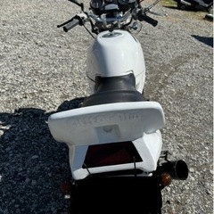 CBR250F❗️ホンダ❗️ヤシメガ❗️の画像