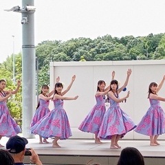 子供フラダンス生徒募集の画像