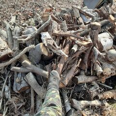 ★薪！マキ！写真現物【乾燥済み伐採原木】★早い者勝ち！軽トラ平積み1台分くらい！の画像