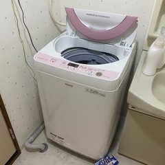 家電 生活家電 洗濯機