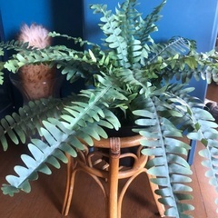 観葉植物　フェイク　グリーン　シダ　造花