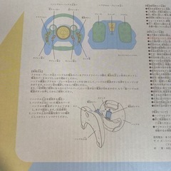 3coins DRIVING SETS ハンドル＆アクセル付き【ほぼ新品】の画像