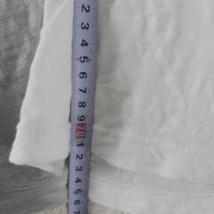 服/ファッション Tシャツ メンズの画像