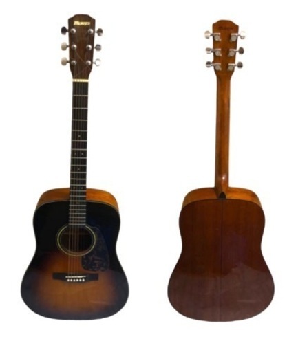  アコギ morris