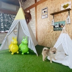 ペットホテル／新舞子駅徒歩5分