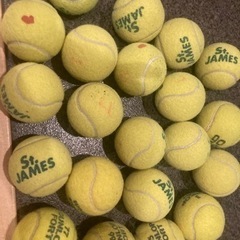 スポーツ テニス