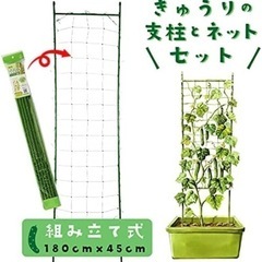家庭菜園・ガーデニングに☆きゅうり用の支柱セットの画像