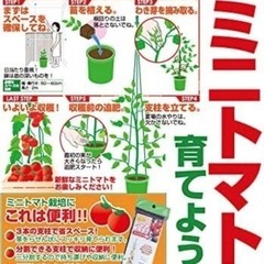 家庭菜園などに☆トマト用支柱の画像