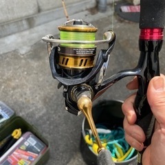 スポーツ マリンスポーツの画像