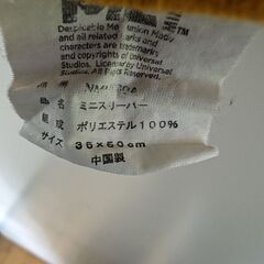 子供・ミニオン、スリーパーの画像