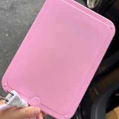 ペット用シートヒーターの画像