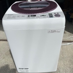 SHARP ES-GV80M 8Kg洗濯機家電 生活家電 洗濯機