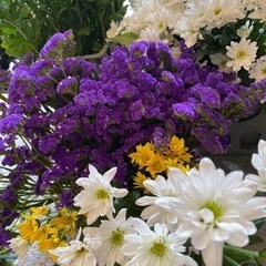 仏花　花　バラ苗　無人販売　フラワー　切花