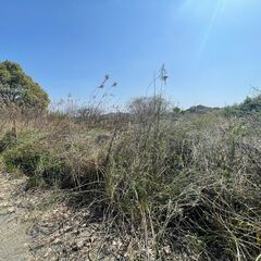 🌈売り土地　鳥栖市西新町②🌈T