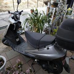 バイク スズキの画像