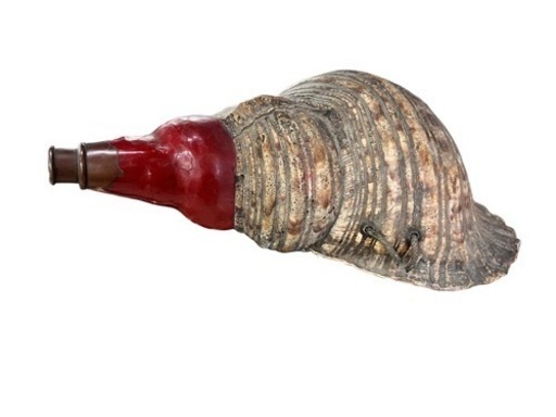 NO.1313 法螺貝 40cm ほら貝 ホラ貝 山伏 笛 オブジェ インテリア 甲冑 鎧 兜 鎧兜 武具 具足 修験 修験者 宗教