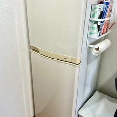 家電 キッチン家電 冷蔵庫