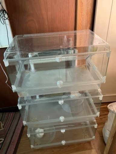 ＧＥＸ グラスハーモニー600 x3個セット