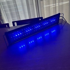 水槽ライトの画像