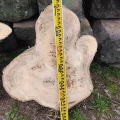 木工細工にいかがですか。の画像