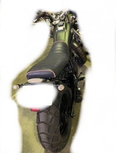 ‼️コメント歓迎‼TW250 アニバーサリーモデル 限定車 250cc