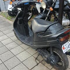 スズキセピアの画像
