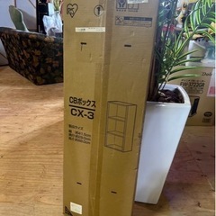 D0159   カラーボックス新品