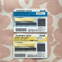 ANA株主優待券２枚(有効期間2024年5月31日/11月30日)