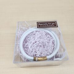 体幹安定スポーツネックレス ビオチェ
