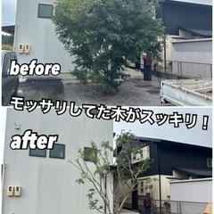 お庭のお悩みこれで解決！！ - 剪定/造園