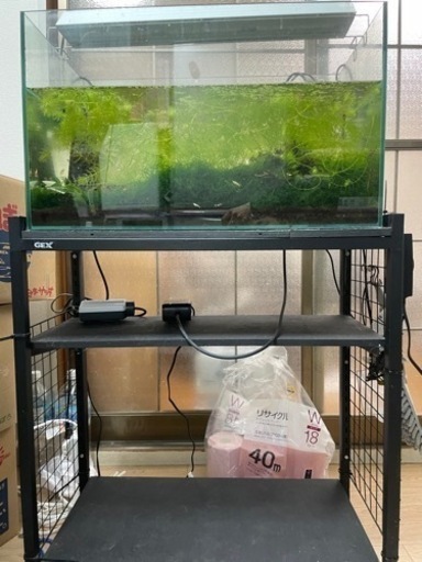 レッドビー　一式