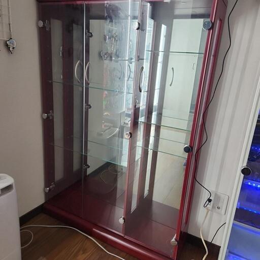 最終値下げ　コレクションケース