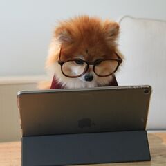 ＼フルリモート／副業OK！webライターになりたい方募集！未経験...