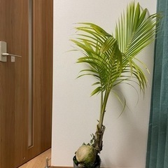 生活雑貨 家庭用品 ガーデニング