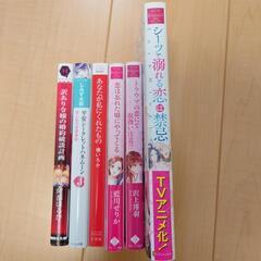 6冊まとめ売り　TL小説  ライトノベルの画像