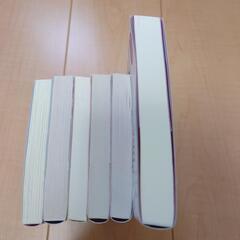 6冊まとめ売り　TL小説  ライトノベルの画像