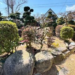 🌴お庭のお悩みなら（剪定、草刈り、造園、特殊伐採等）ご相談ください🌴 - 剪定/造園
