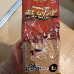 底床　水槽　サンゴ砂　コーラルサンド　ボトムサンドの画像