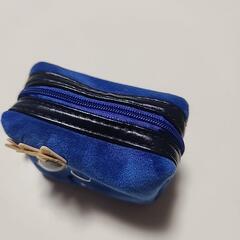 🌈恐竜ブルーコインケース🌈の画像