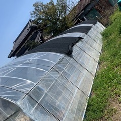 生活雑貨 家庭用品 ガーデニングの画像