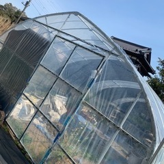 生活雑貨 家庭用品 ガーデニングの画像