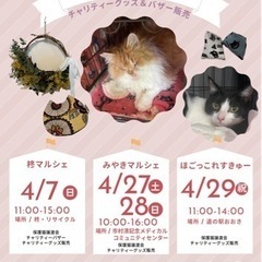 ☆ご予約済　ミモザ　リース　直径約30cm  ハンドメイドの画像