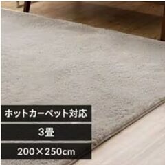 カーペット　ラグ200×250