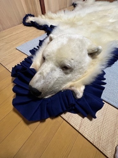 家具 カーペット/マット/ラグ