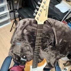 ギター募集