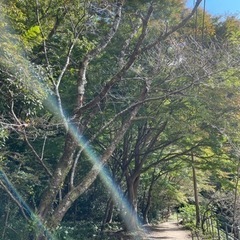 神戸🌸ウォーキング☀️🌙ヨガ🔰仲間募集