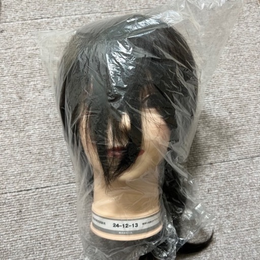 カットウィッグ　